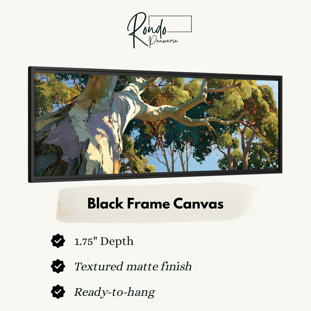 Sunlit eucalyptus trunk and branches canvas print in a black floating frame