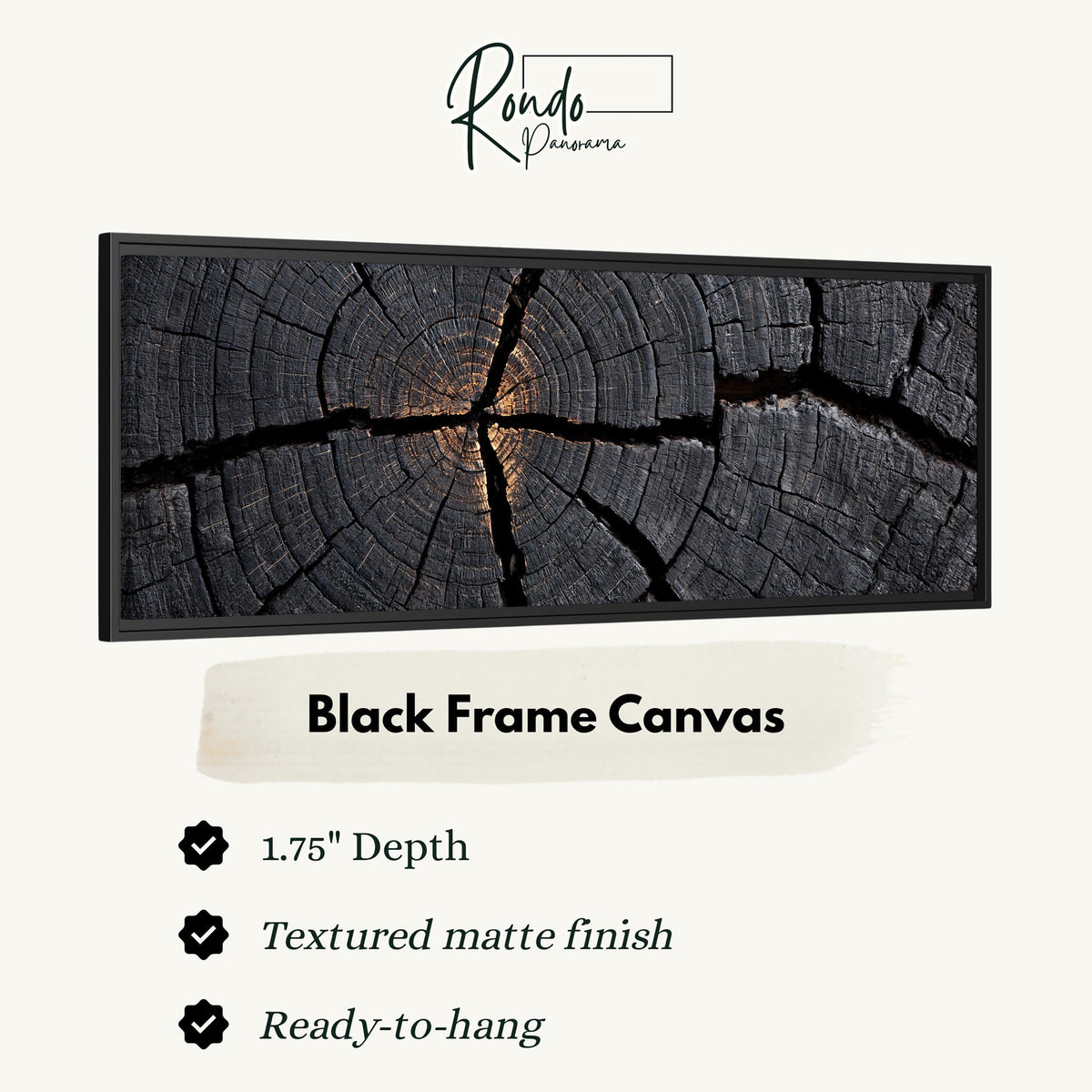 Charcoal tree ring cross section canvas print in a black floating frame