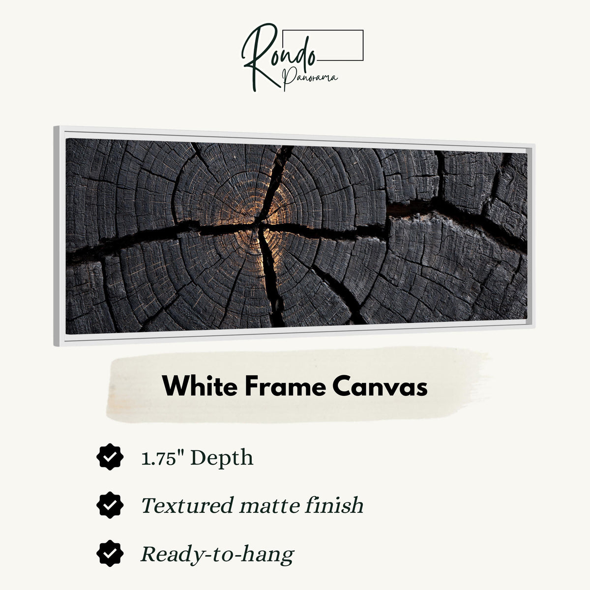Charcoal tree ring cross section canvas print in a white floating frame