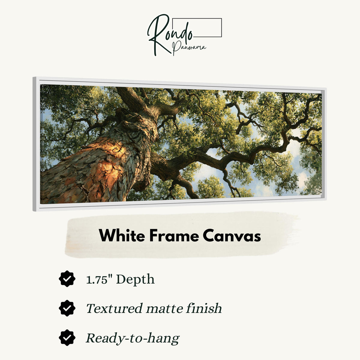 Ancient oak trunk and branches seen from below canvas print in a white floating frame
