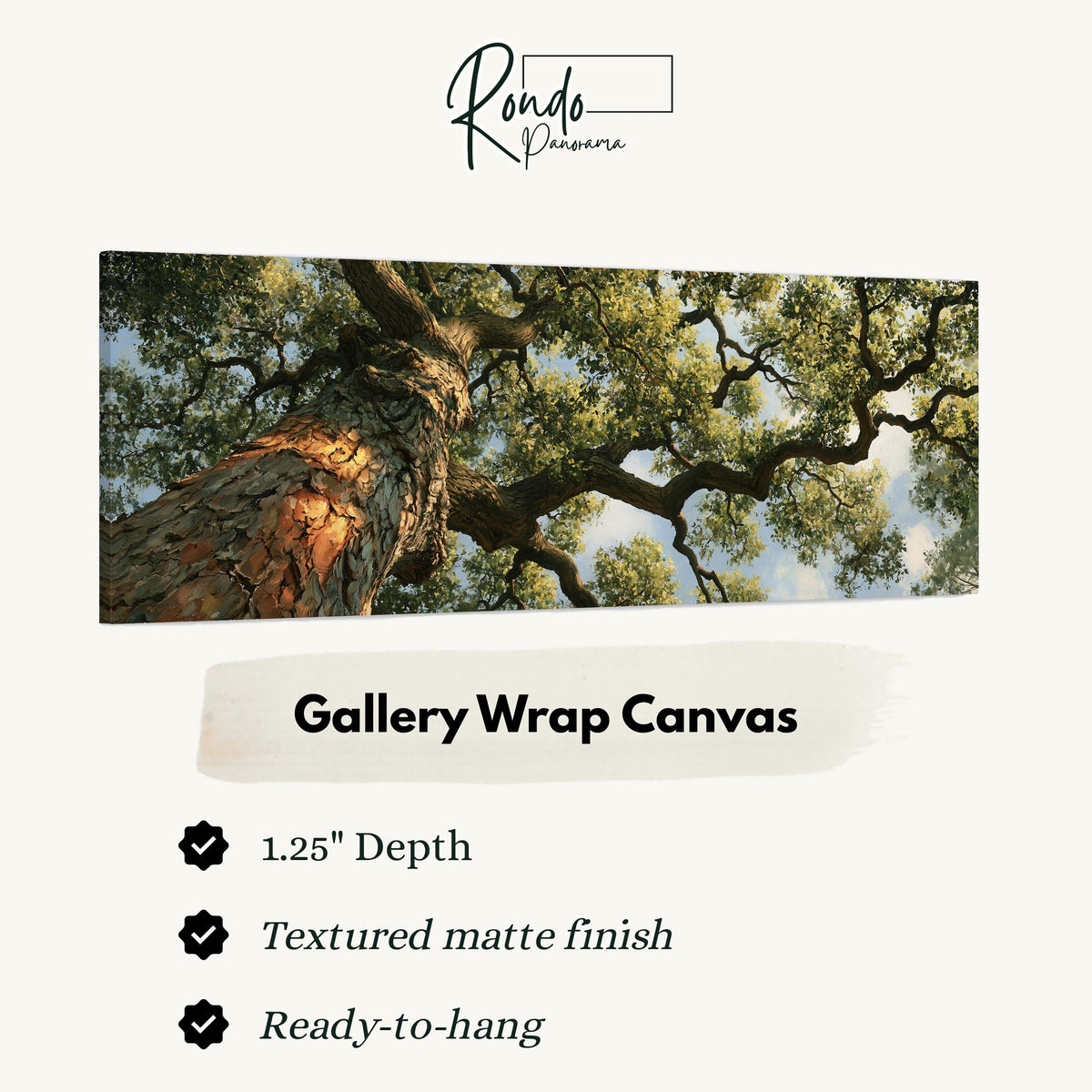 Ancient oak trunk and branches seen from below gallery wrap canvas with the image wrapped around the edges