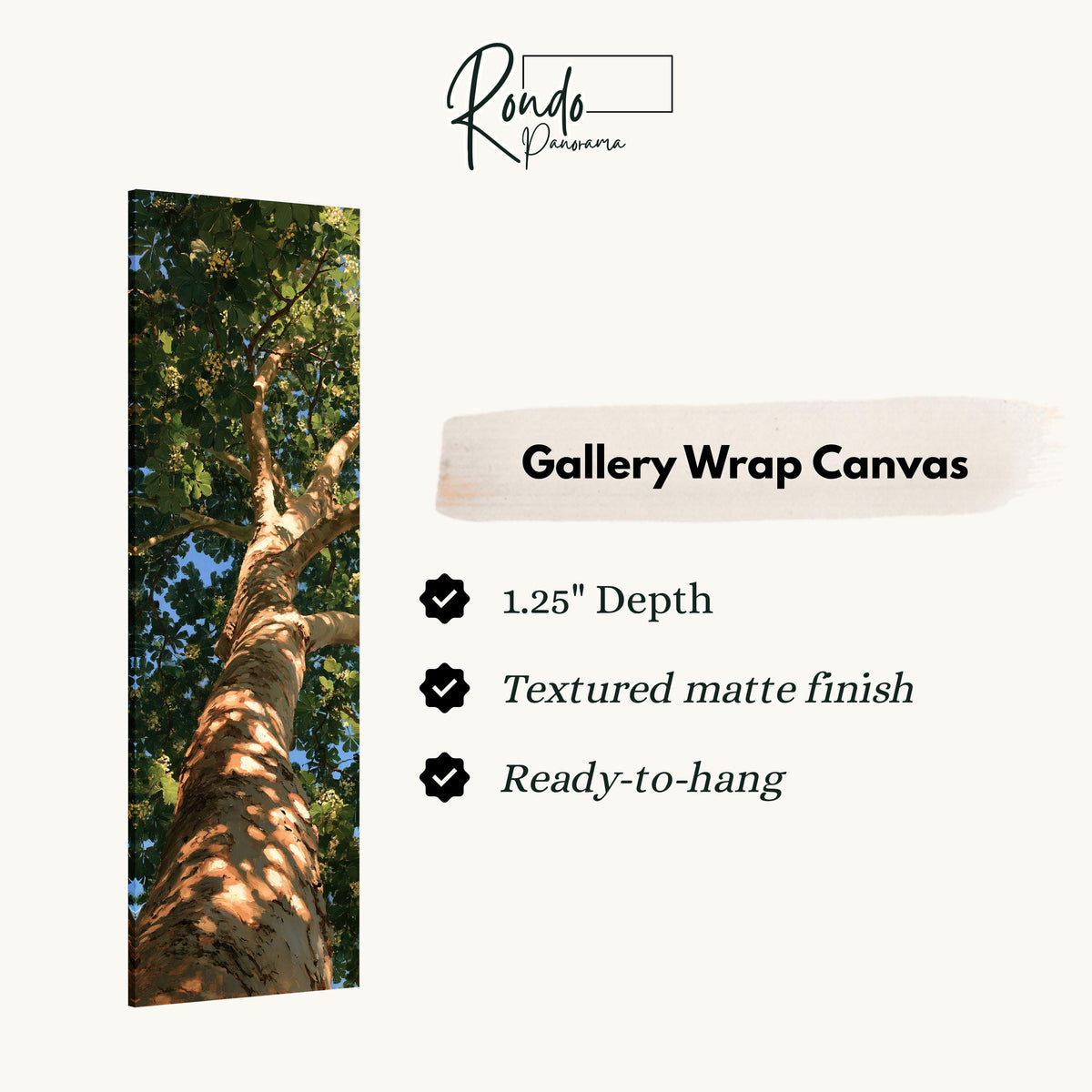 Sunlit tree trunk and summer canopy gallery wrap canvas with the image wrapped around the edges