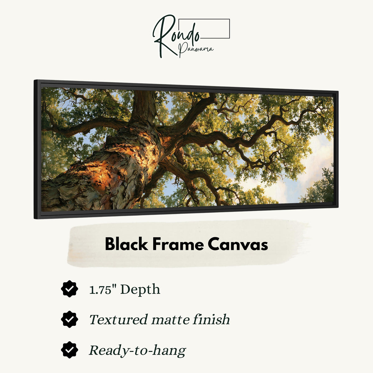 Twisting oak branch from below canvas print in a black floating frame
