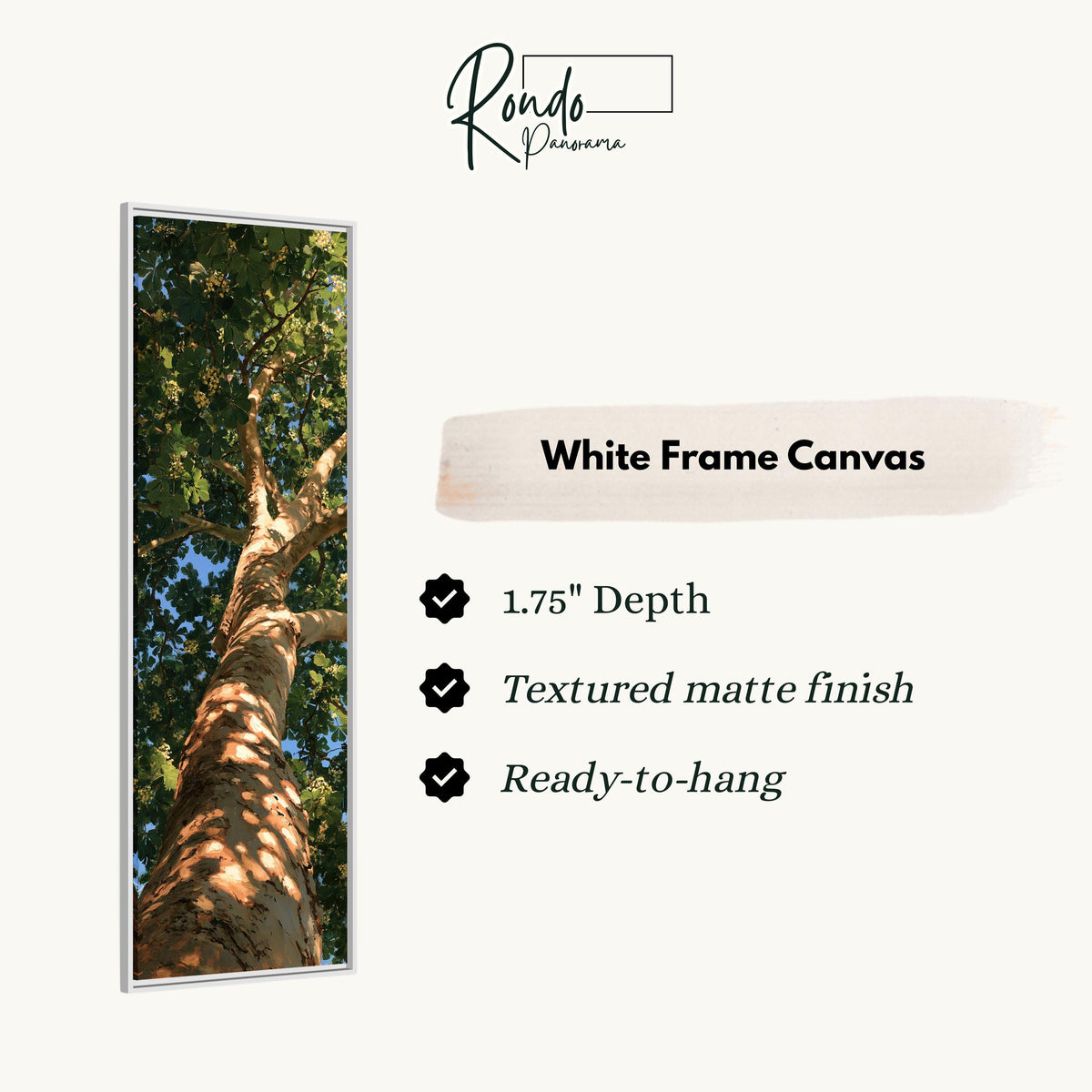 Sunlit tree trunk and summer canopy canvas print in a white floating frame