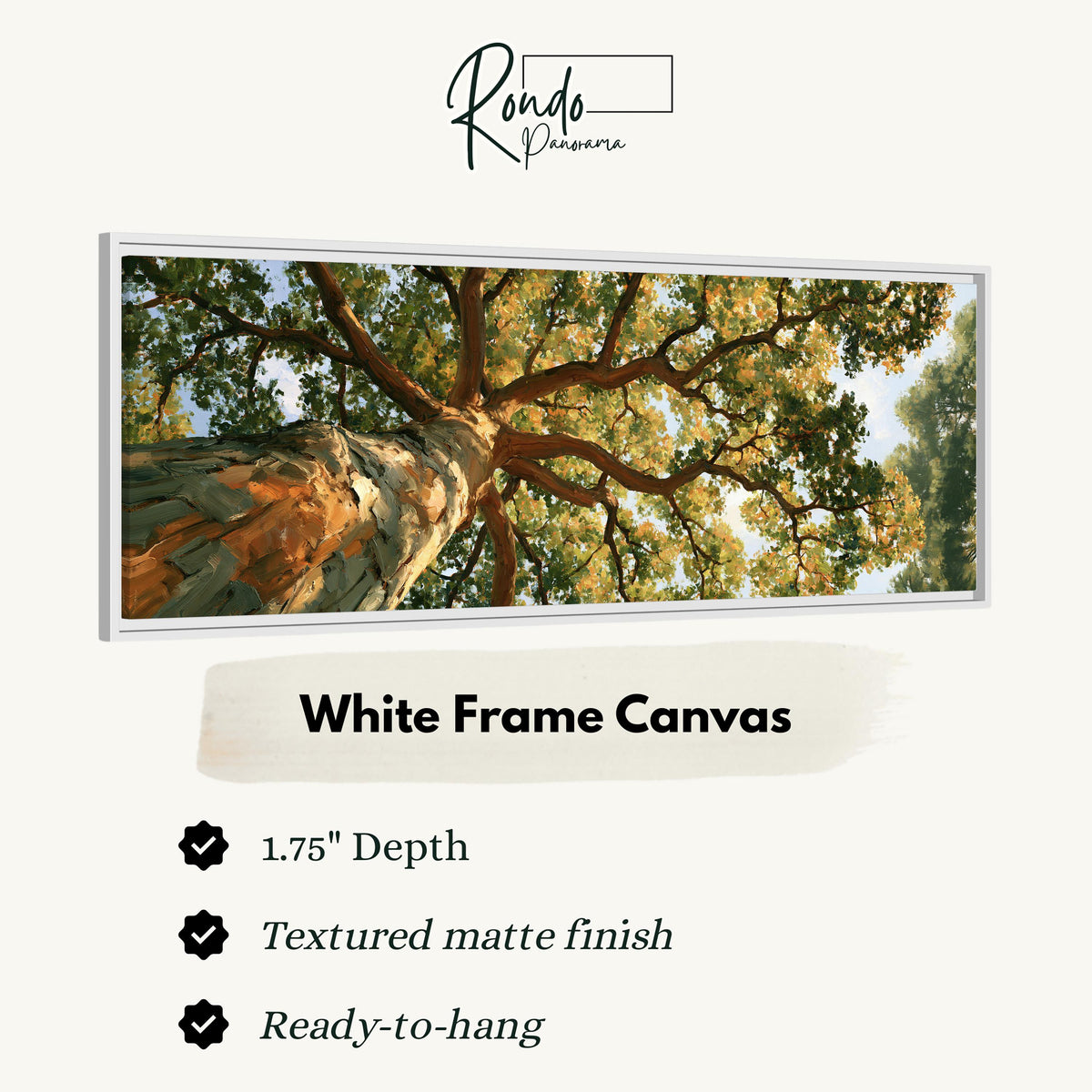 Autumn oak canopy seen from below canvas print in a white floating frame