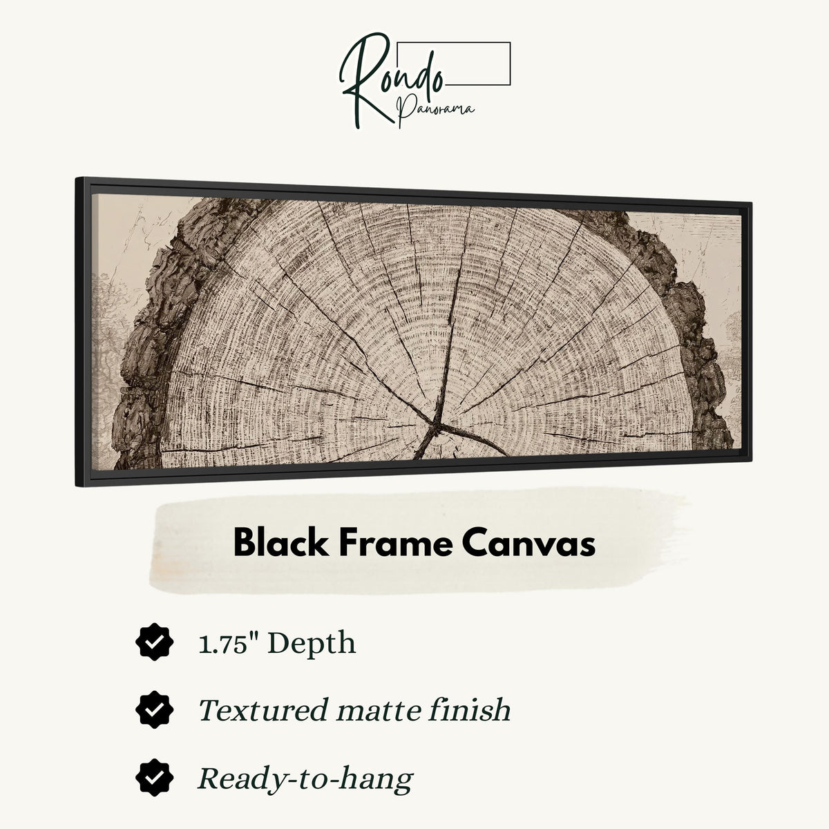 Sepia tree ring with radial cracks canvas print in a black floating frame