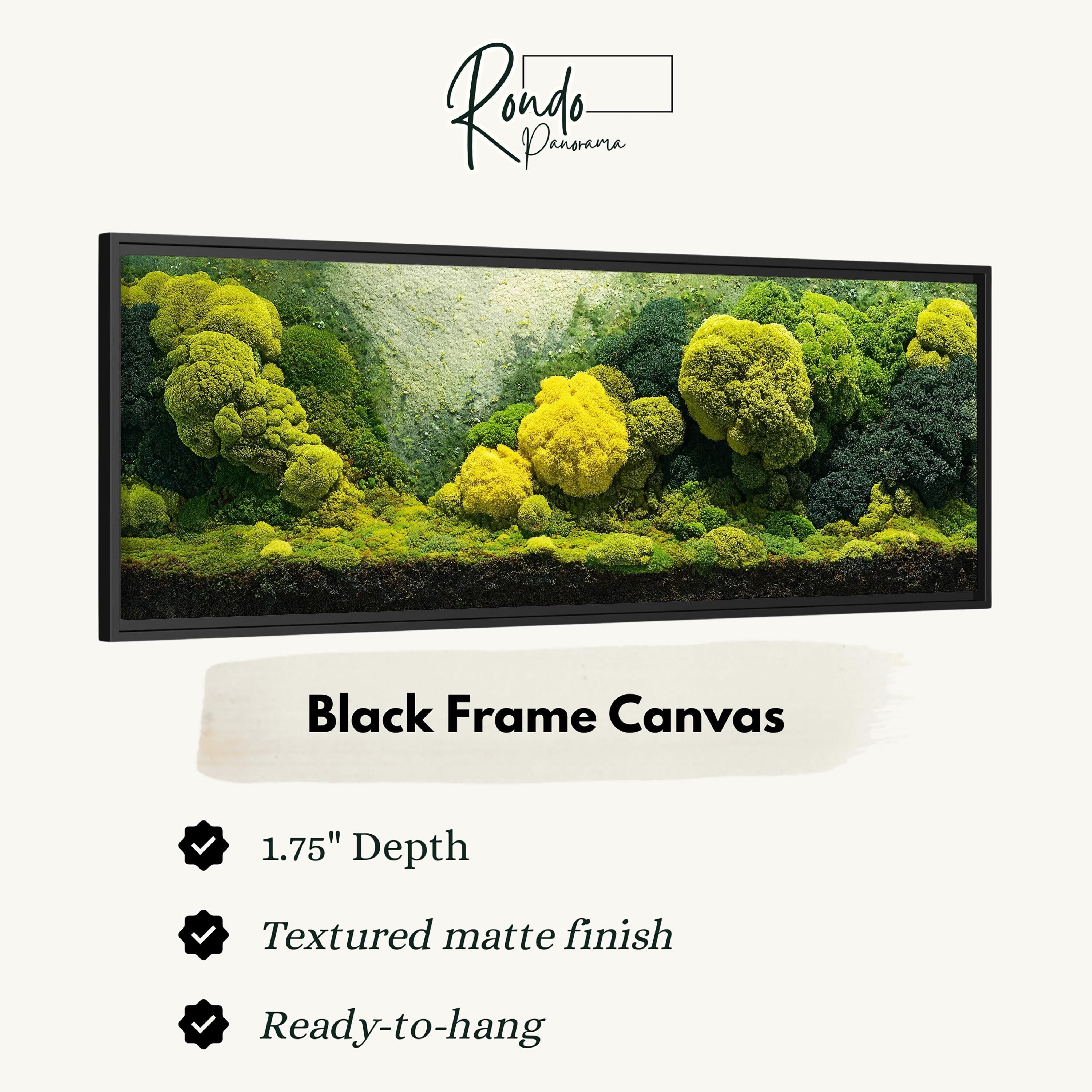 The image is a black frame canvas depicting a lush, green forest with various types of trees and vegetation.
