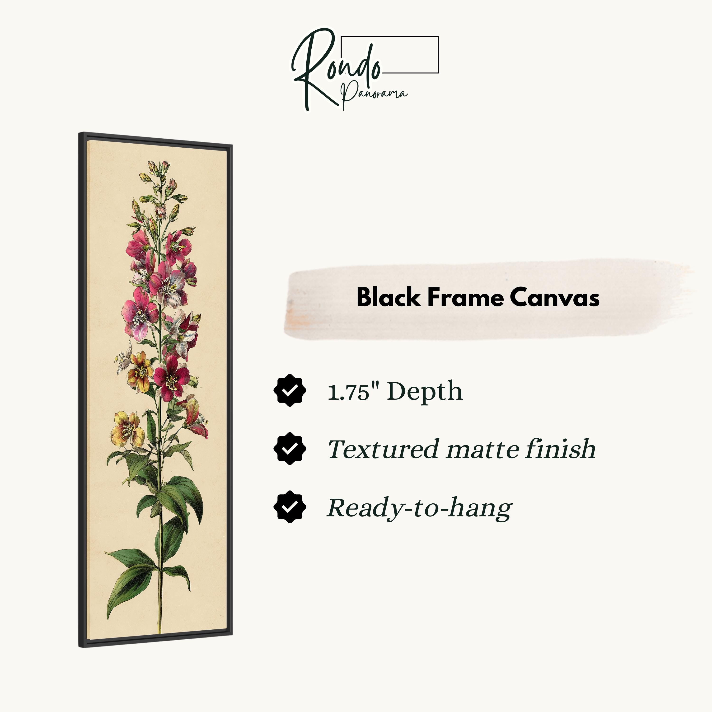 The image is a black frame canvas featuring a detailed illustration of a flower with multiple petals and leaves.