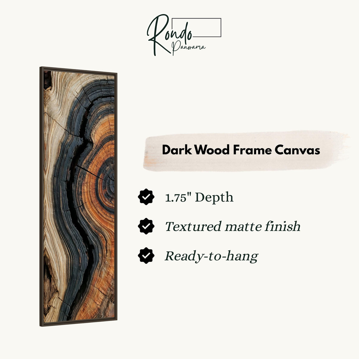 Charred tree ring close up canvas print in a dark wood floating frame