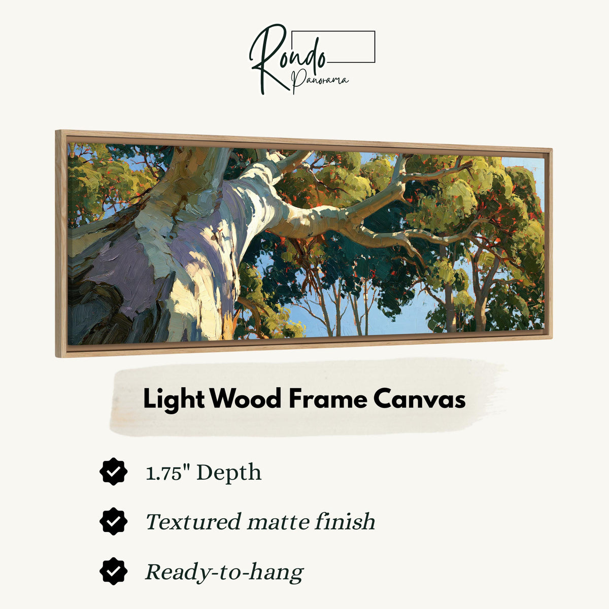Sunlit eucalyptus trunk and branches canvas print in a light wood floating frame