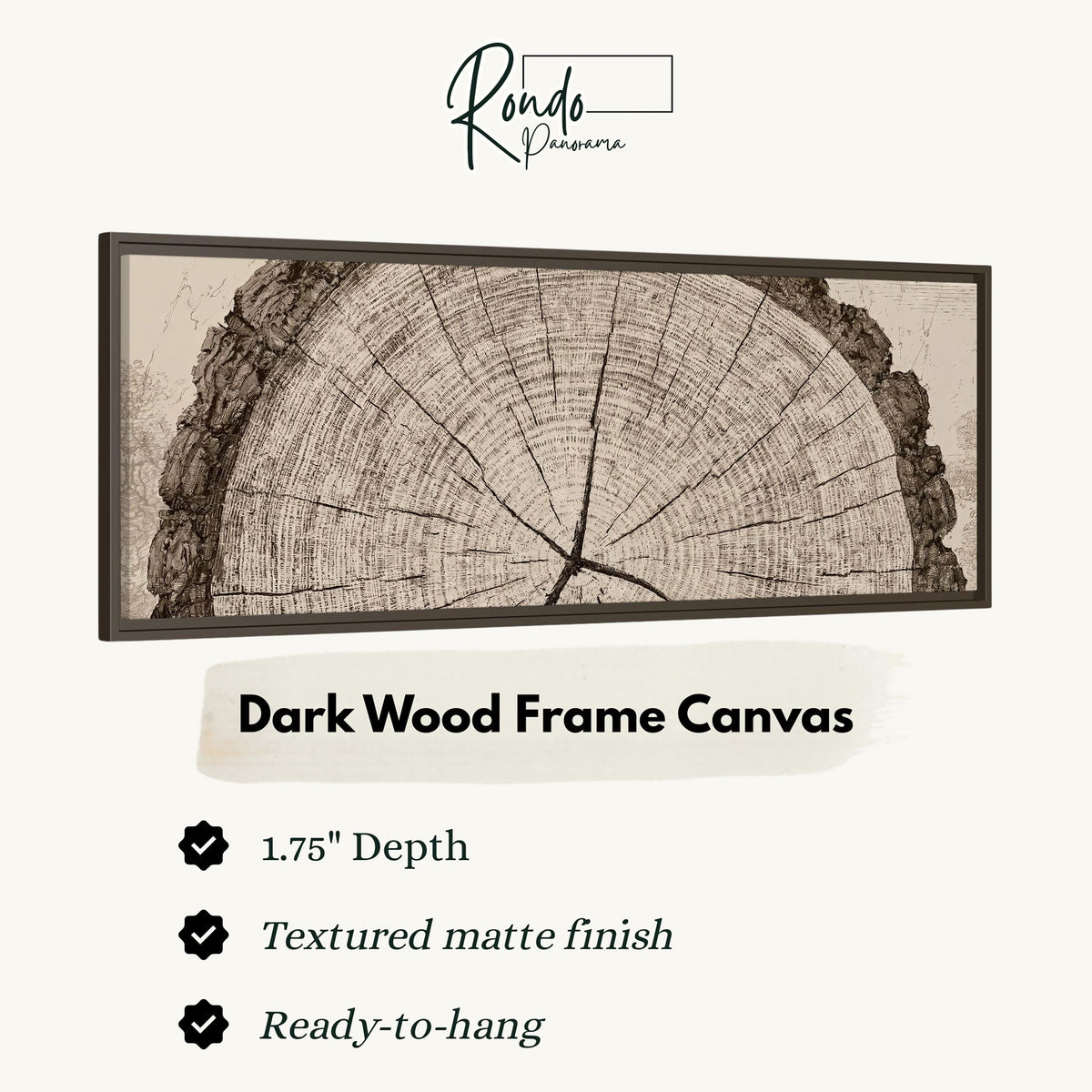 Sepia tree ring with radial cracks canvas print in a dark wood floating frame