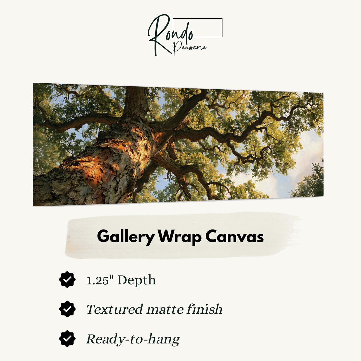 Twisting oak branch from below gallery wrap canvas with the image wrapped around the edges