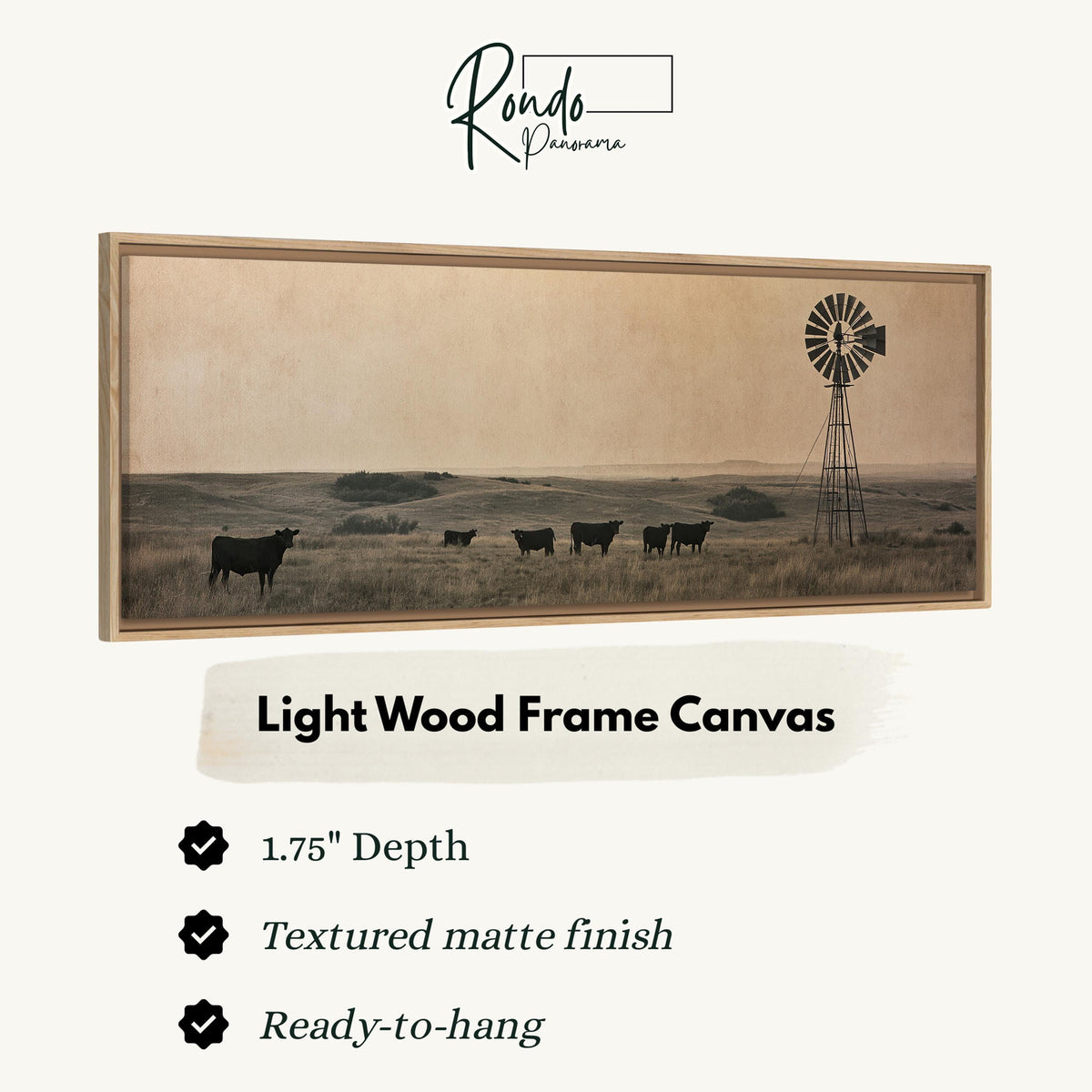 Black cattle grazing by a windmill on the prairie canvas print in a light wood floating frame