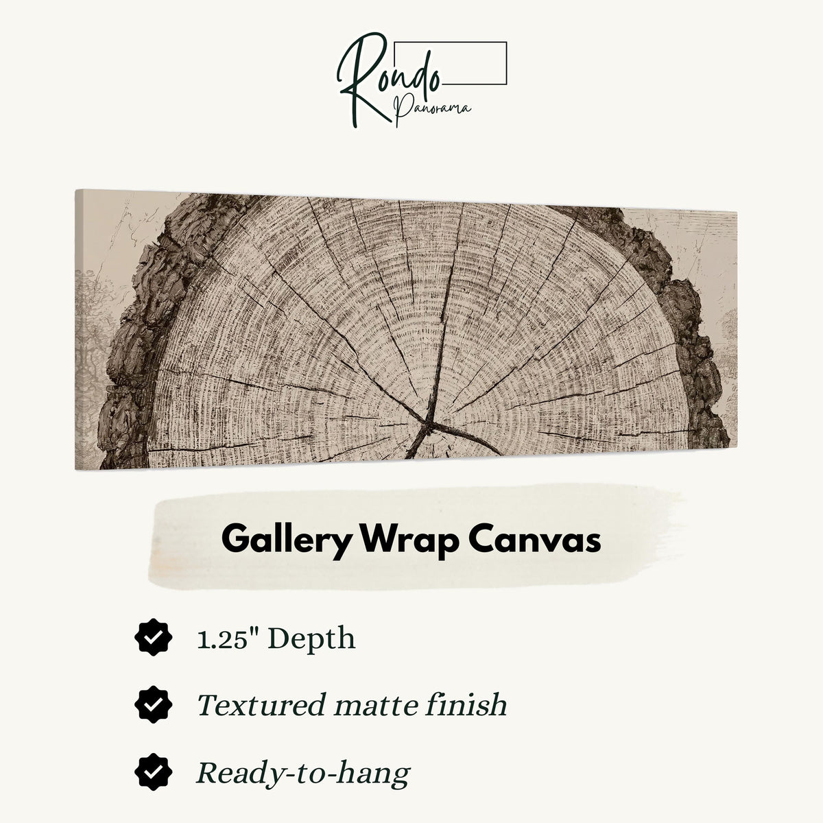 Sepia tree ring with radial cracks gallery wrap canvas with the image wrapped around the edges