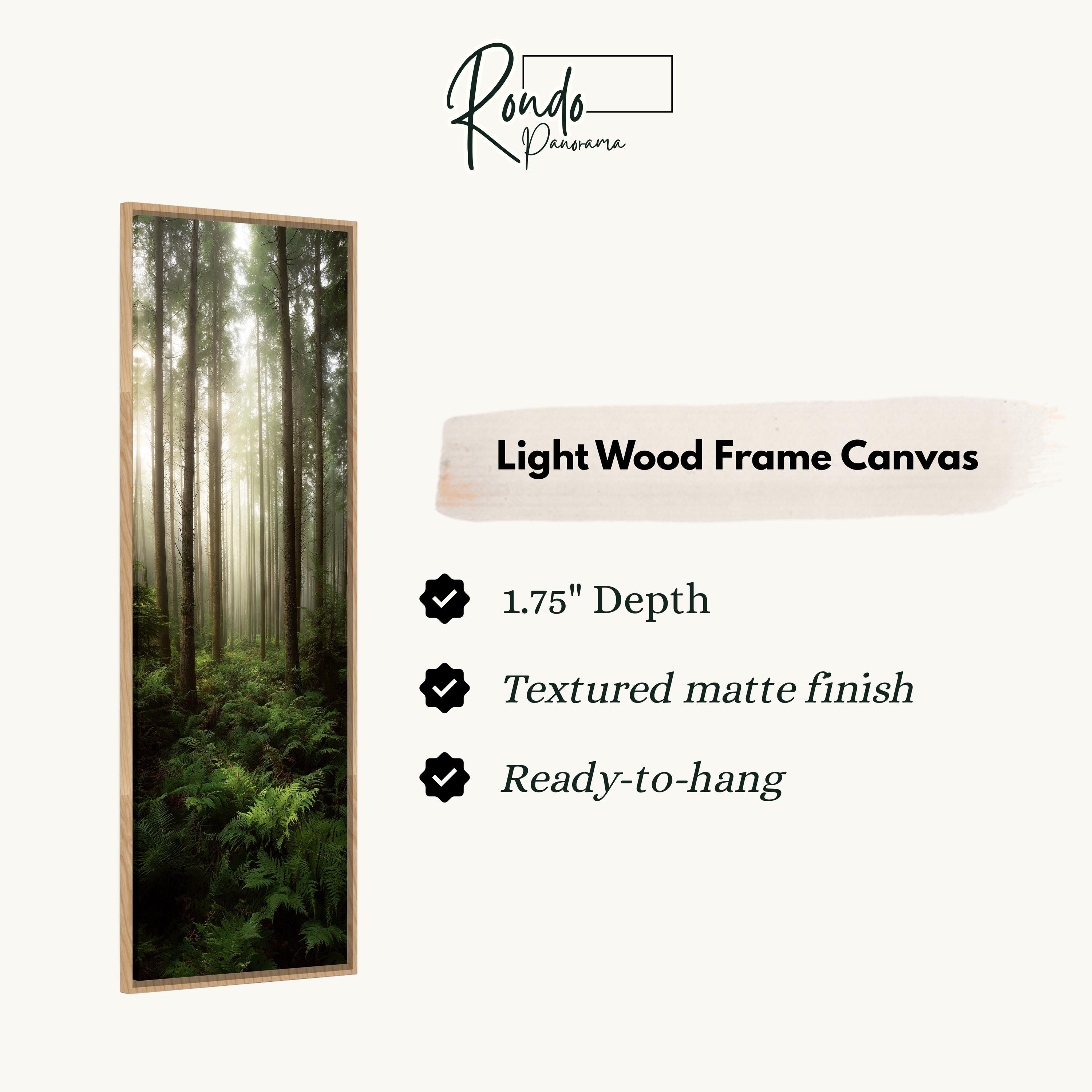 a forest scene with tall trees and lush greenery.
