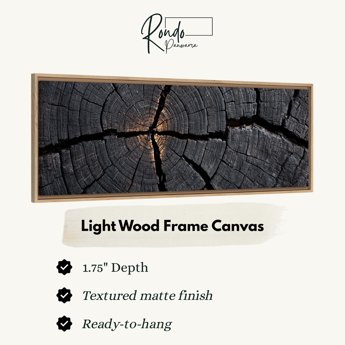 Charcoal tree ring cross section canvas print in a light wood floating frame