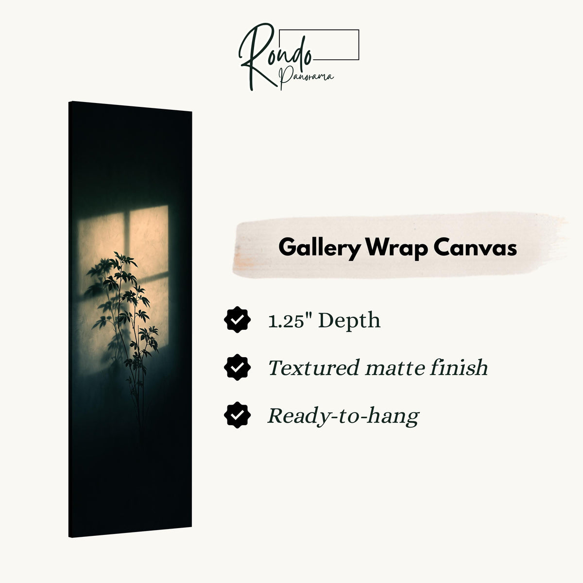 Plant silhouette in a beam of window light gallery wrap canvas with the image wrapped around the edges