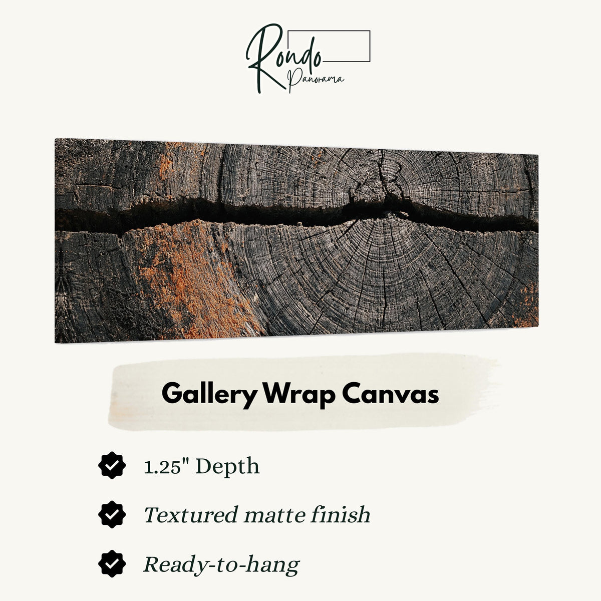 Cracked weathered wood ring gallery wrap canvas with the image wrapped around the edges