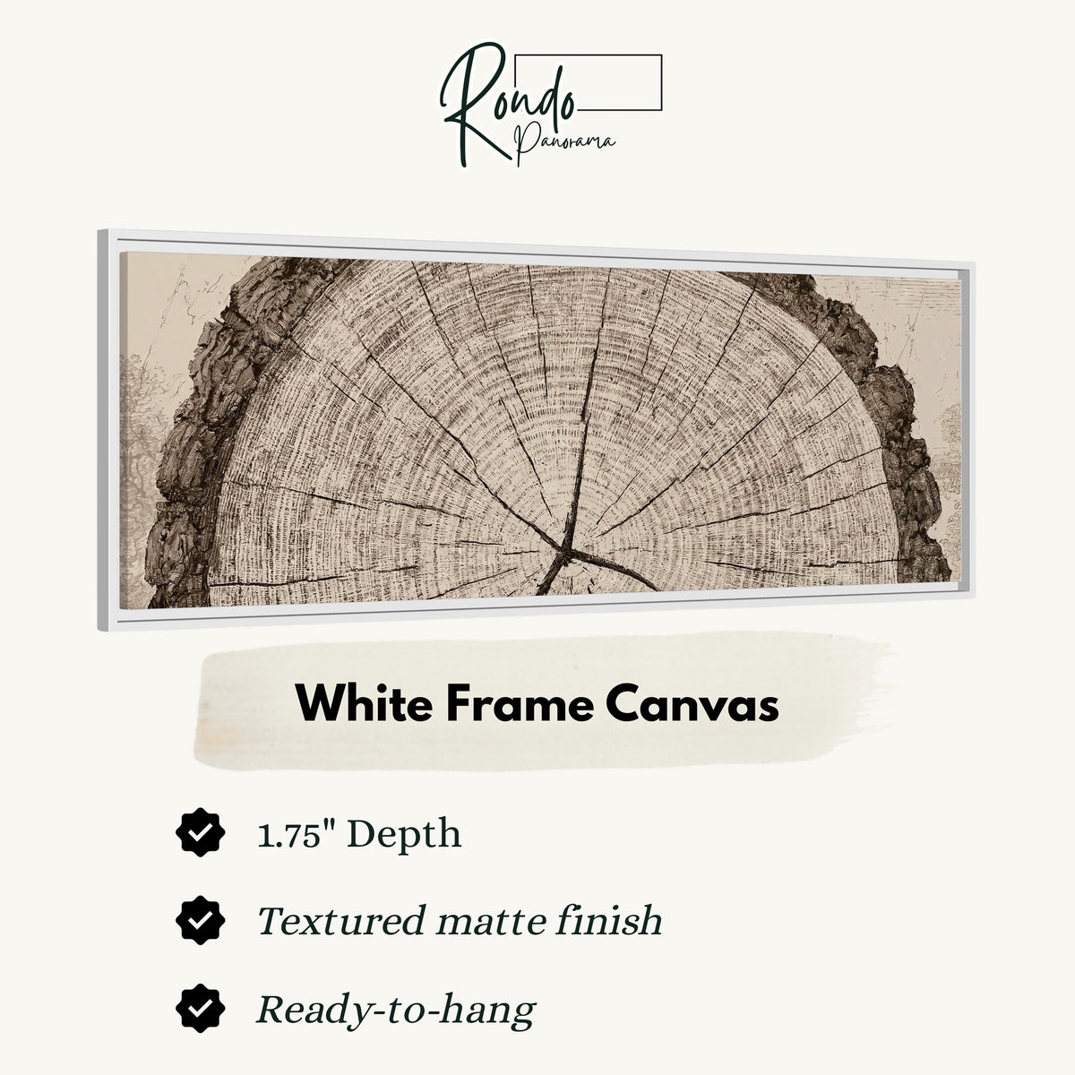 Sepia tree ring with radial cracks canvas print in a white floating frame