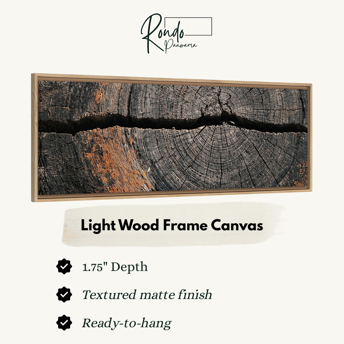 Cracked weathered wood ring canvas print in a light wood floating frame
