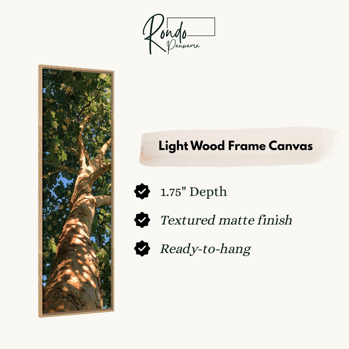 Sunlit tree trunk and summer canopy canvas print in a light wood floating frame