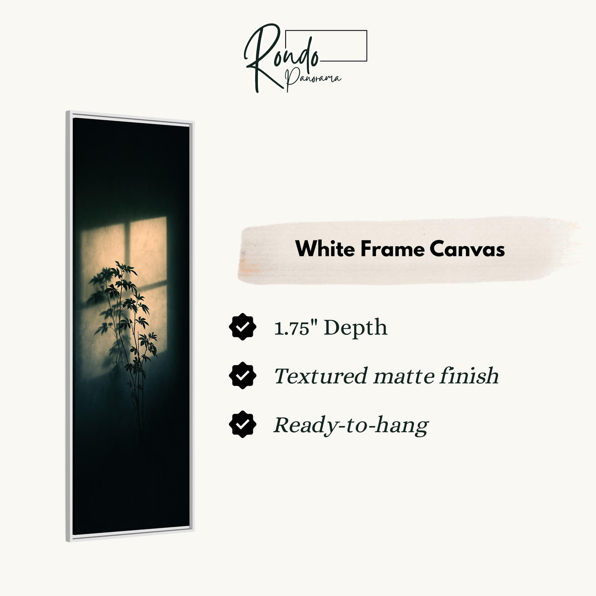 Plant silhouette in a beam of window light canvas print in a white floating frame