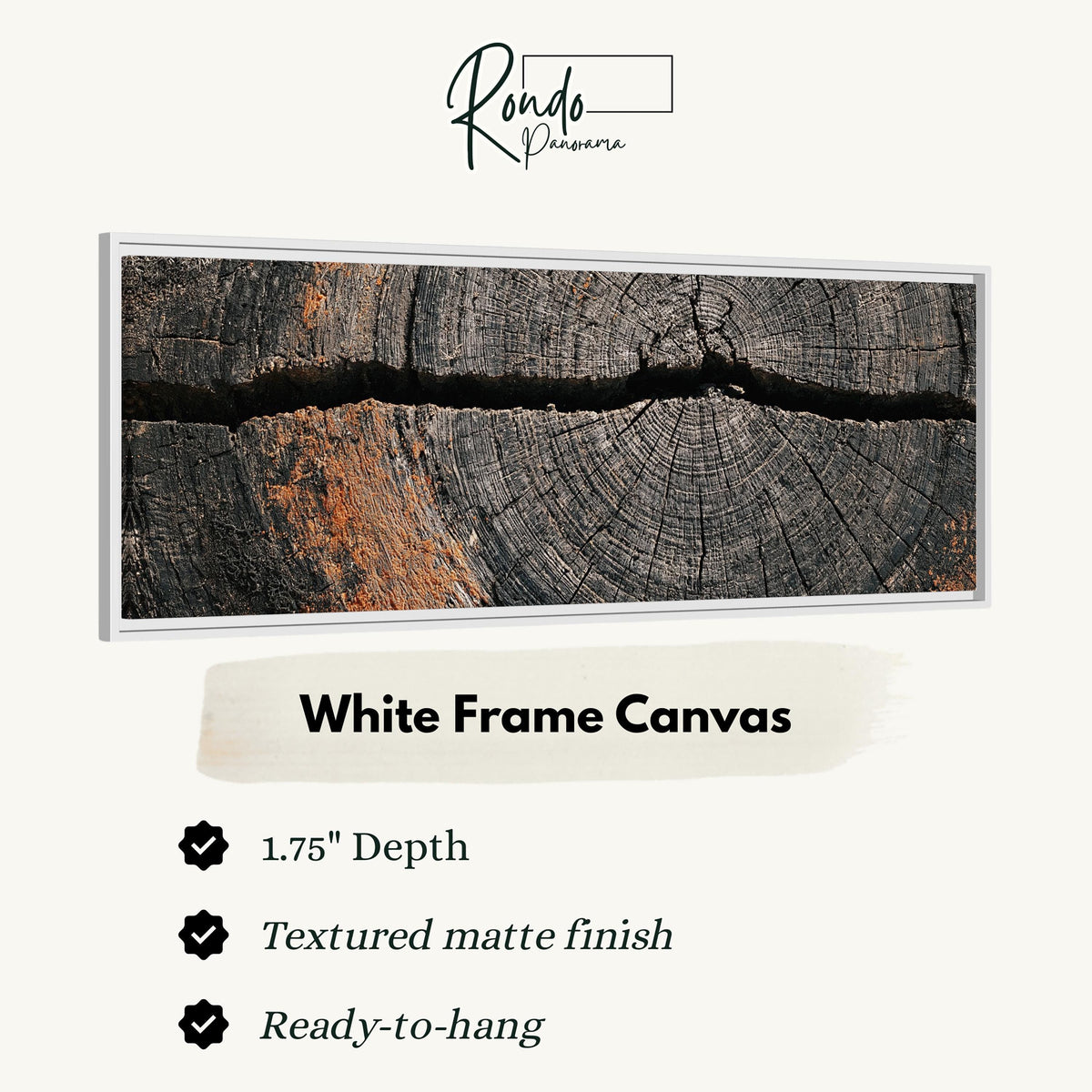Cracked weathered wood ring canvas print in a white floating frame
