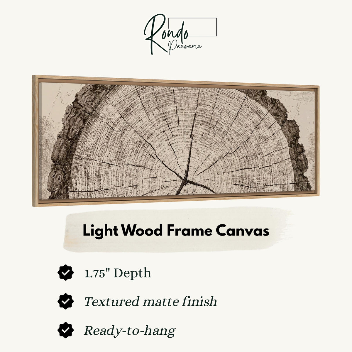 Sepia tree ring with radial cracks canvas print in a light wood floating frame