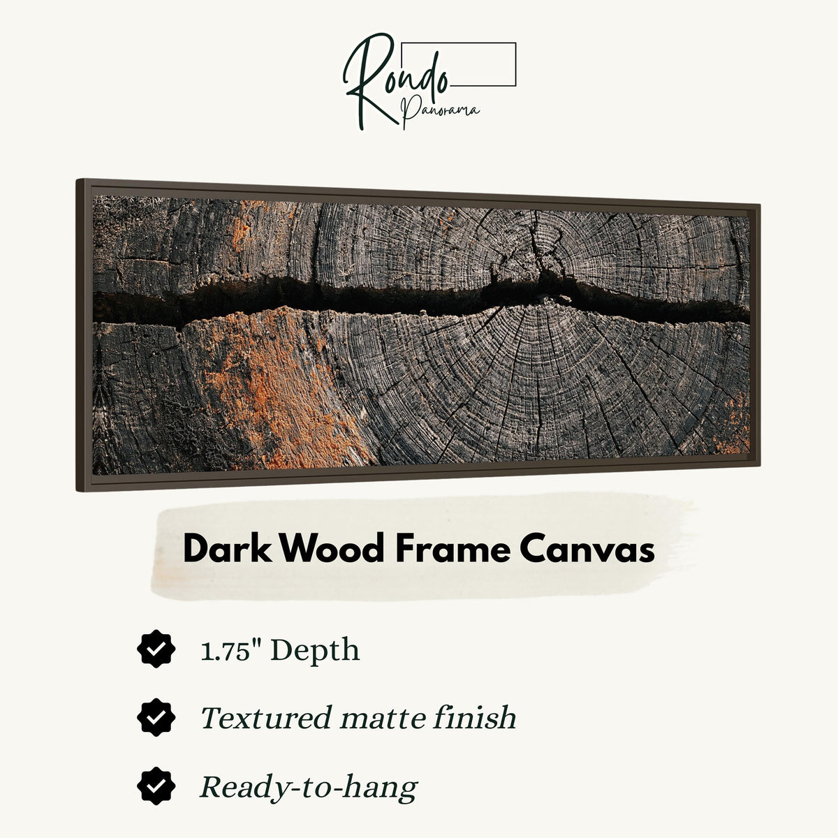 Cracked weathered wood ring canvas print in a dark wood floating frame
