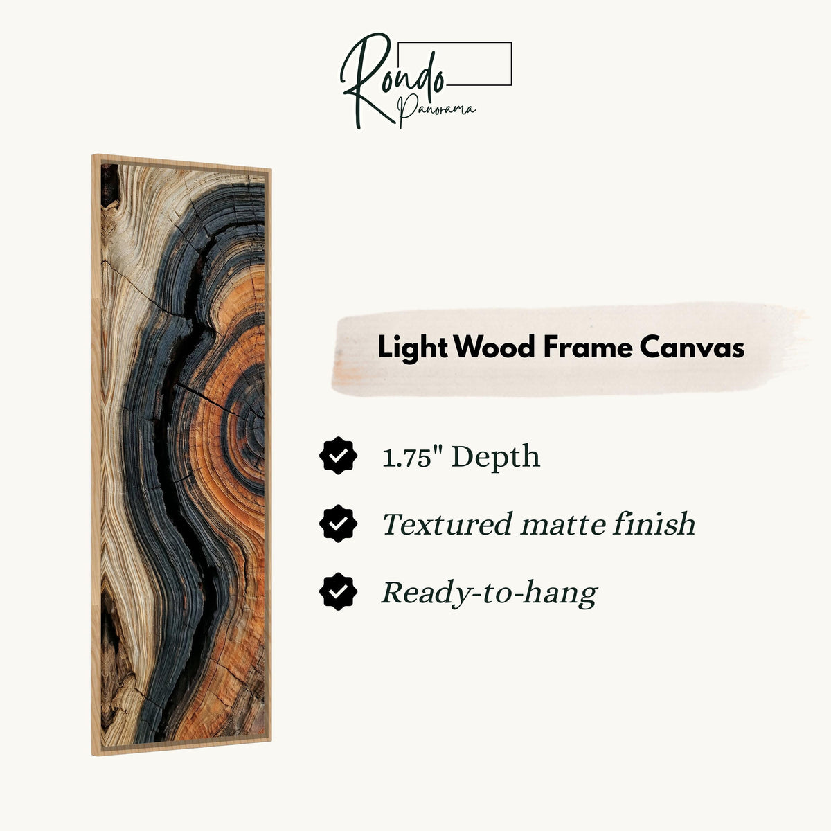 Charred tree ring close up canvas print in a light wood floating frame