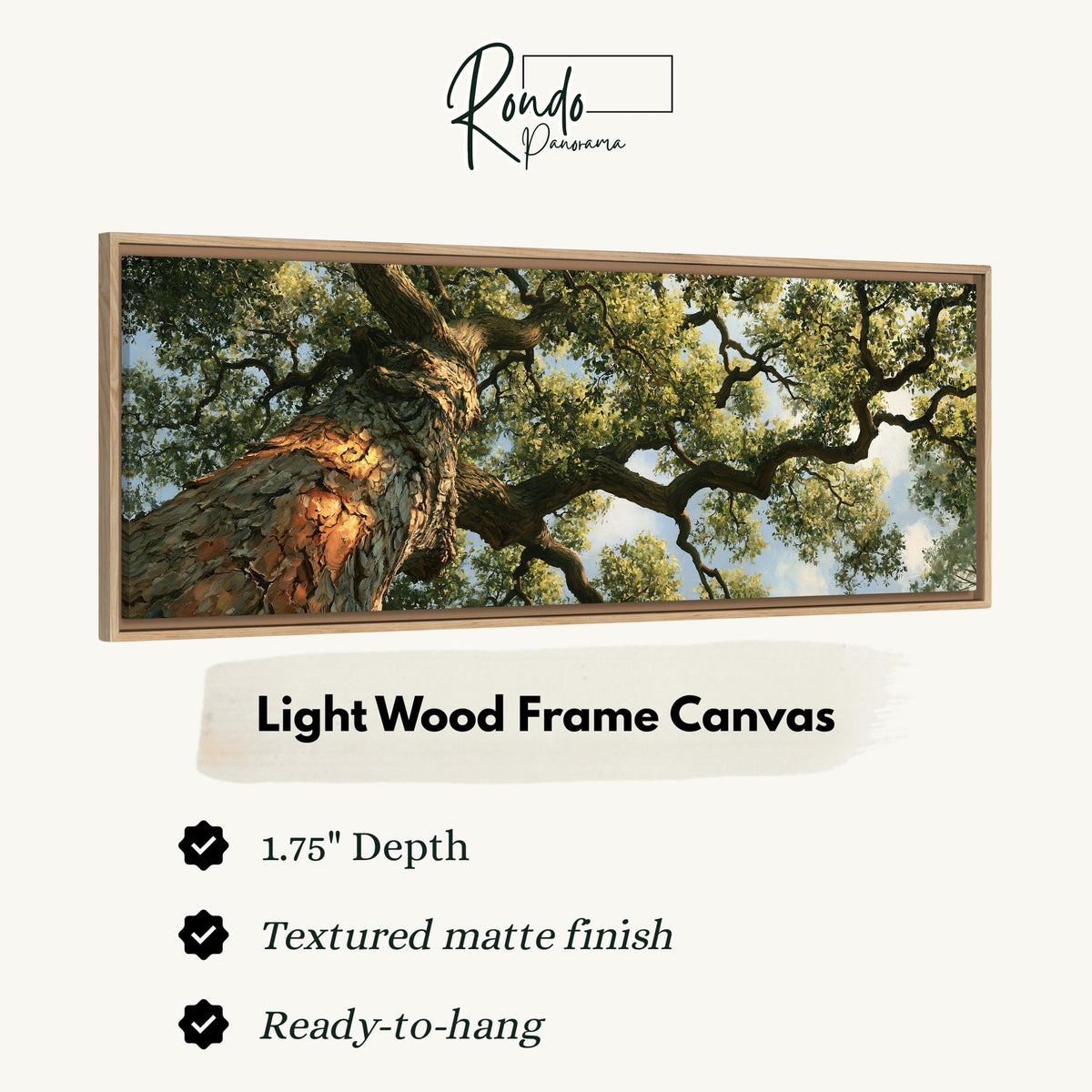 Ancient oak trunk and branches seen from below canvas print in a light wood floating frame
