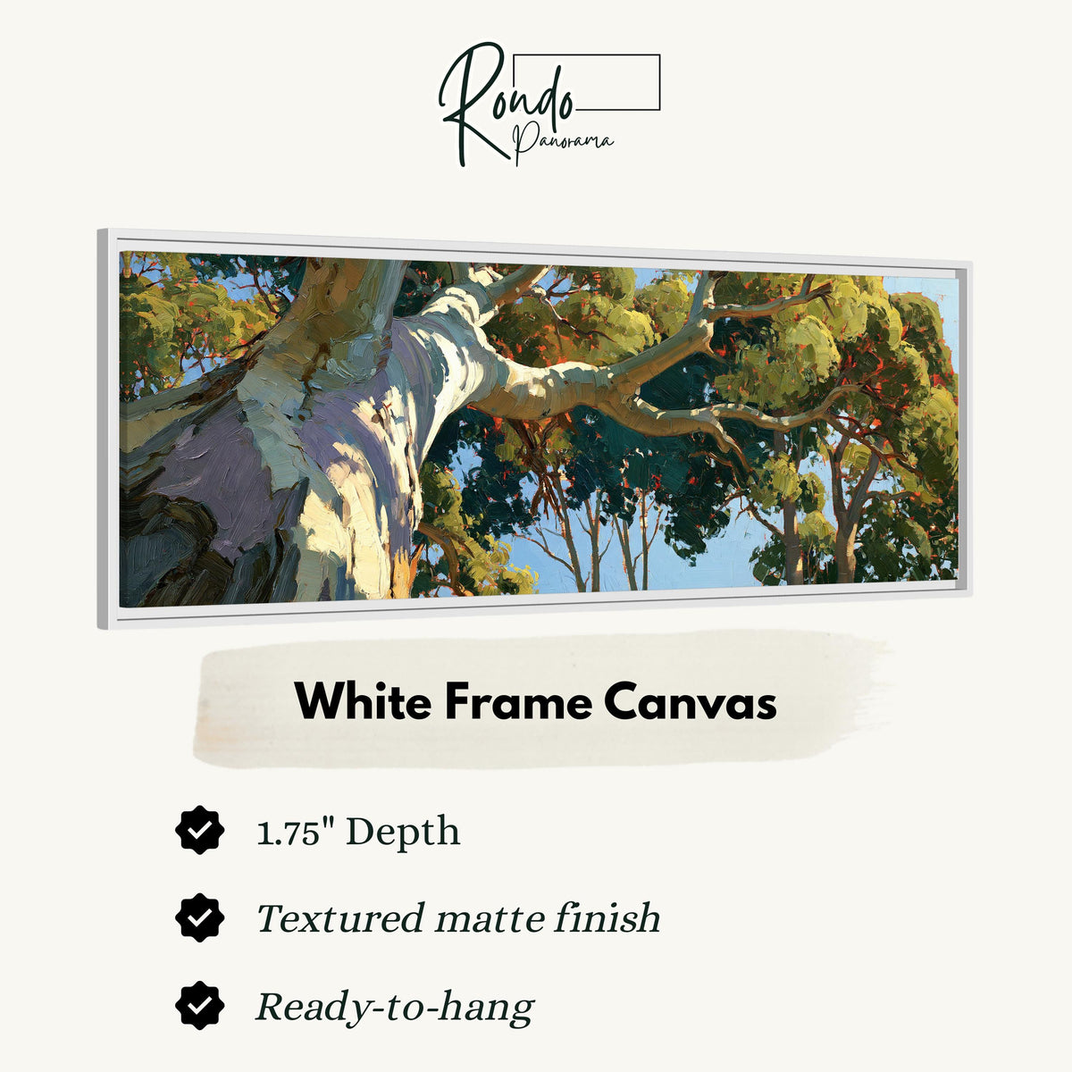 Sunlit eucalyptus trunk and branches canvas print in a white floating frame