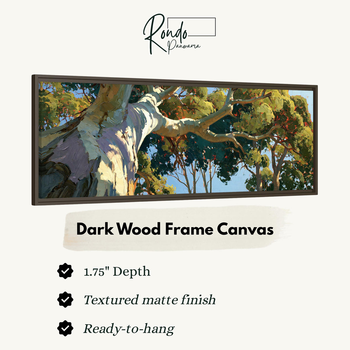 Sunlit eucalyptus trunk and branches canvas print in a dark wood floating frame