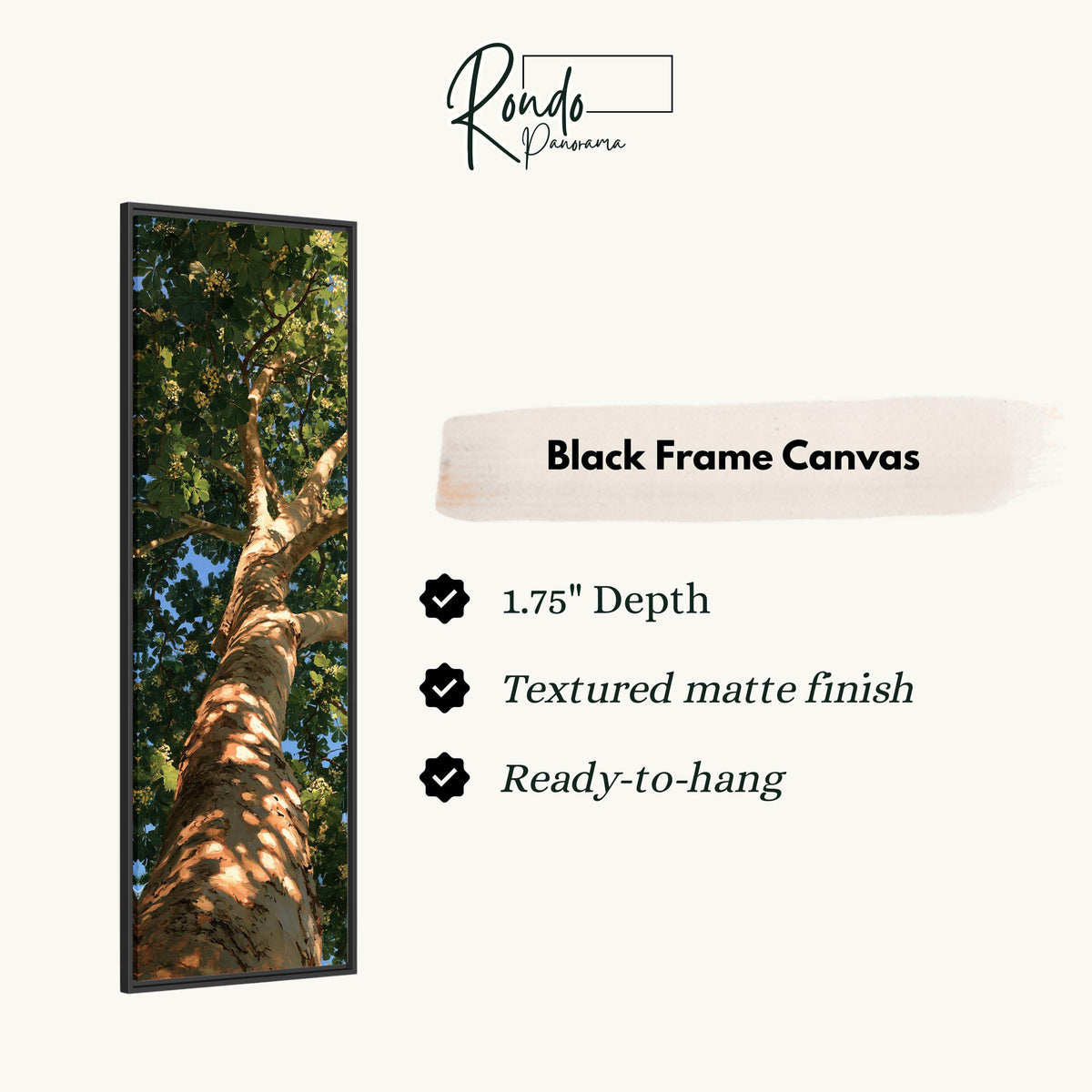 Sunlit tree trunk and summer canopy canvas print in a black floating frame