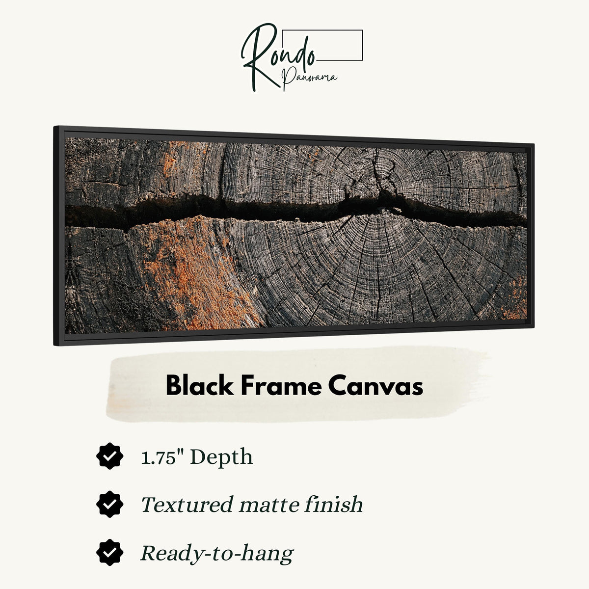 Cracked weathered wood ring canvas print in a black floating frame