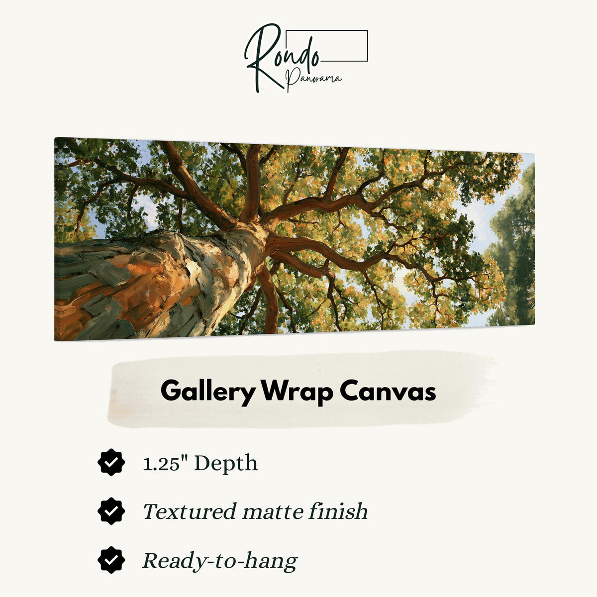 Autumn oak canopy seen from below gallery wrap canvas with the image wrapped around the edges