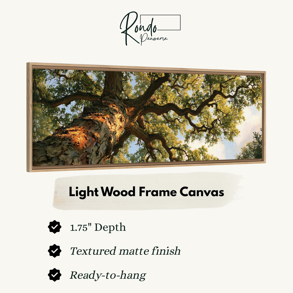 Twisting oak branch from below canvas print in a light wood floating frame