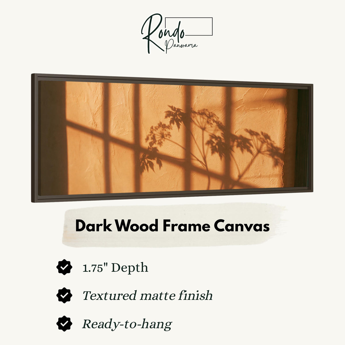 Plant and window shadows on a terracotta wall canvas print in a dark wood floating frame