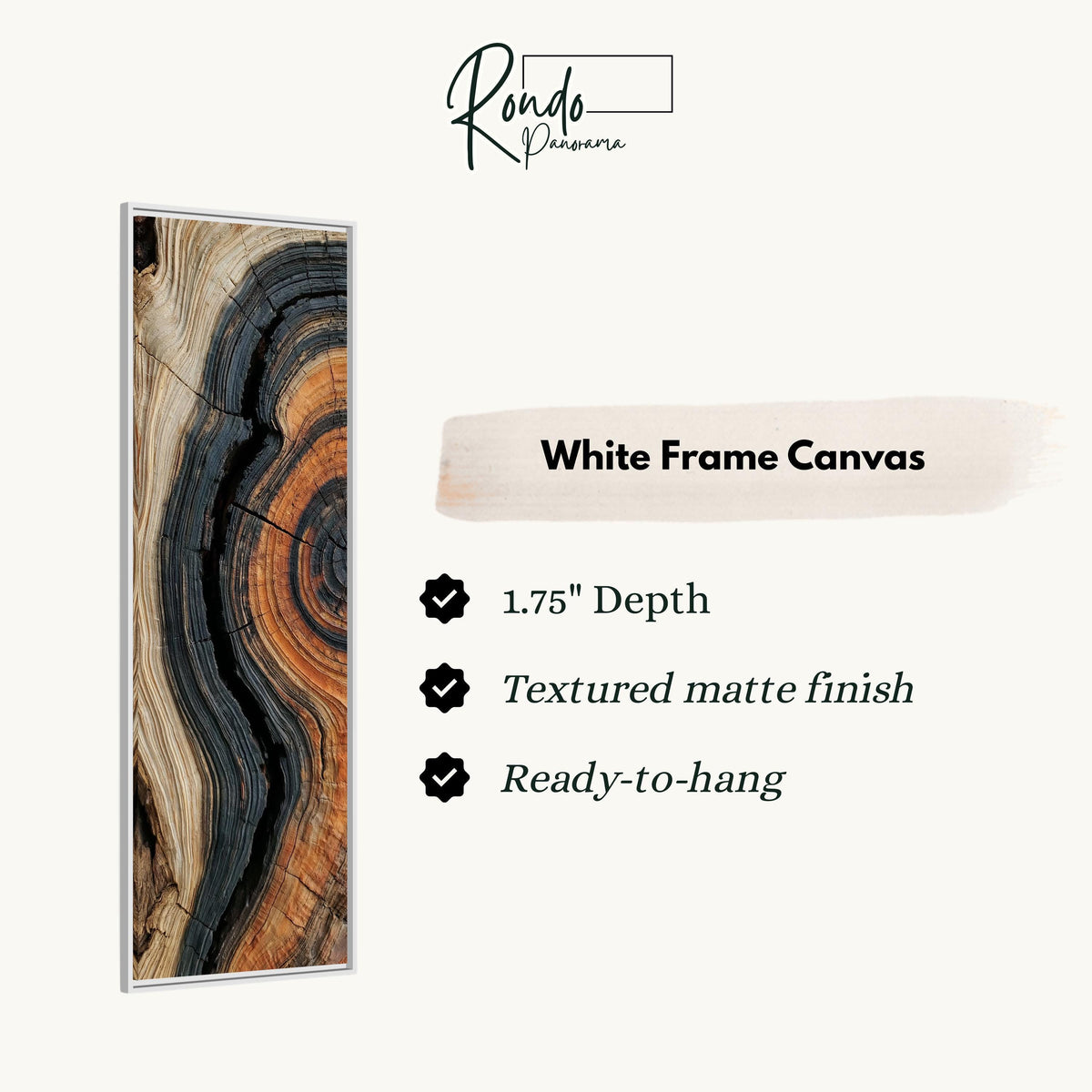 Charred tree ring close up canvas print in a white floating frame